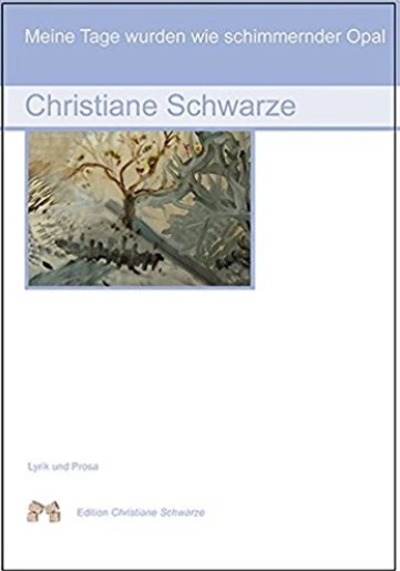 Buch Schimmernder Opal